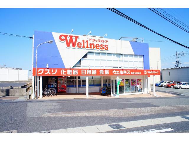 ドラックストア　ドラッグストアウェルネス湖山店（ドラッグストア）まで1964m