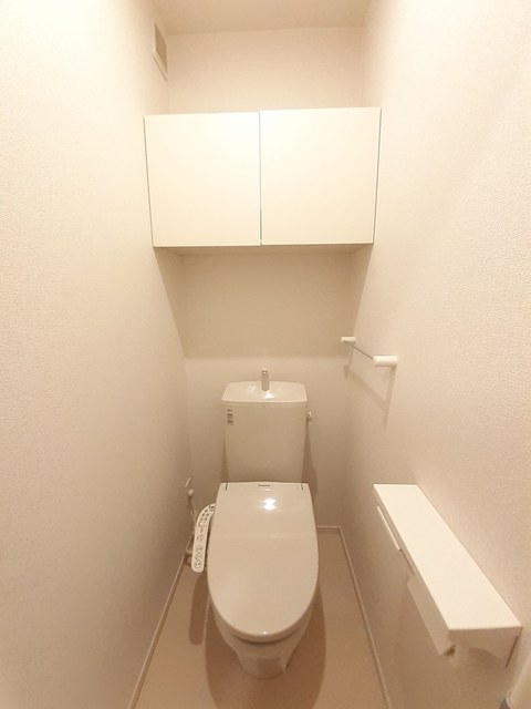 メゾン・ド・プレジール Bのトイレ写真
