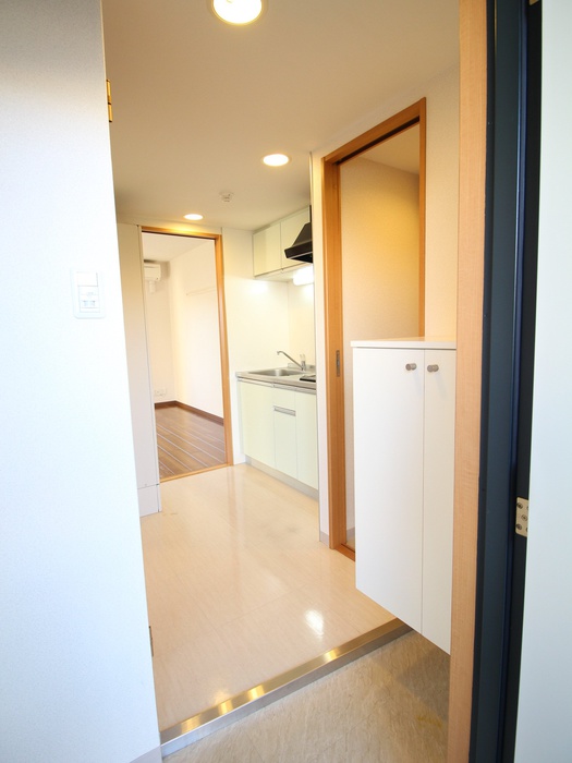 ヴィ-タ京都西院の玄関写真