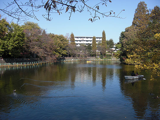 【アネックスホームの公園】