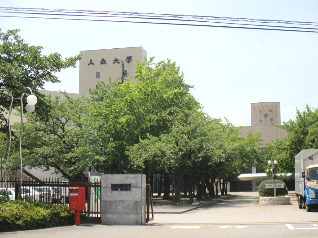 大学・短大　上武大学情報学部（大学・短大）まで1250m