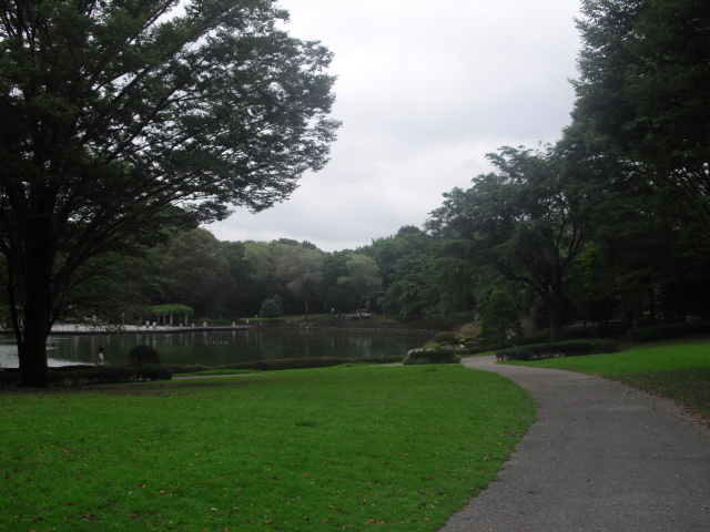 公園　中央公園（公園）まで800m