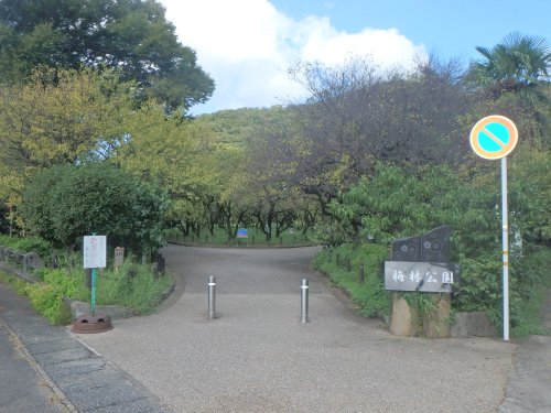 【コンフォルト白山の公園】