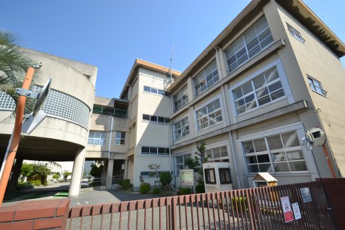 小学校　西宮市立鳴尾東小学校（小学校）まで256m