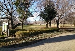 公園　青葉の森公園（公園）まで530m