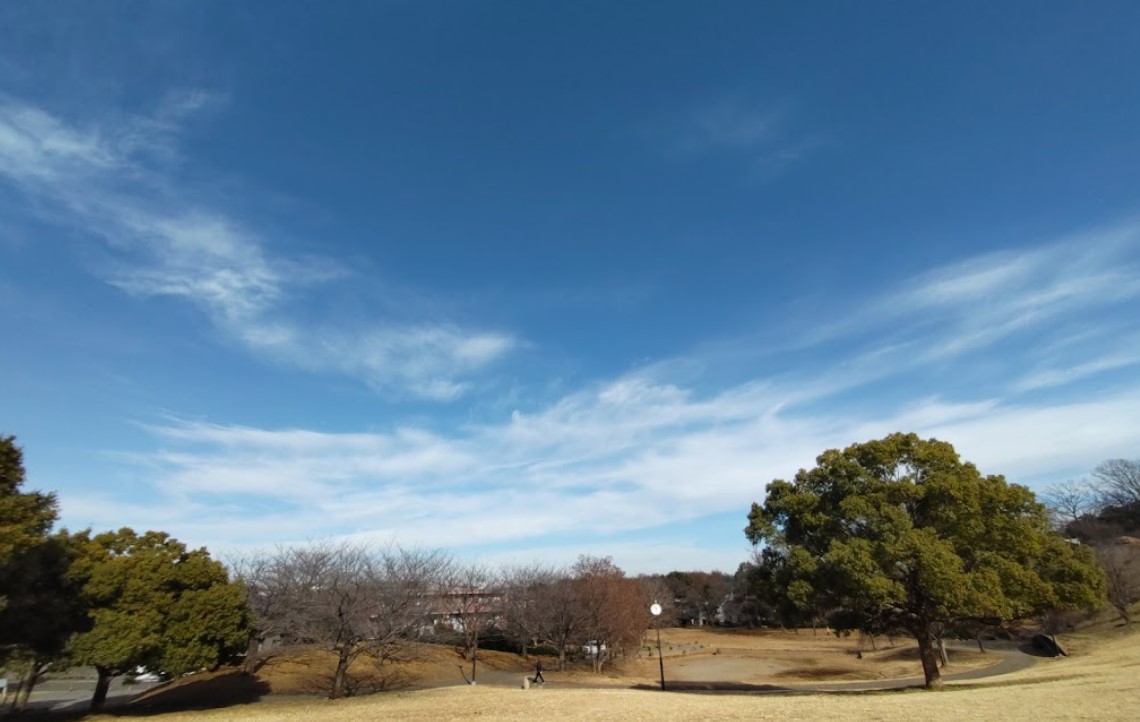 公園　東山田公園（公園）まで1261m