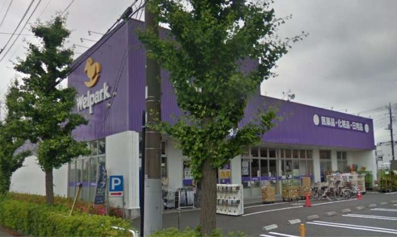 ドラックストア　ウェルパーク（ドラッグストア）まで250m