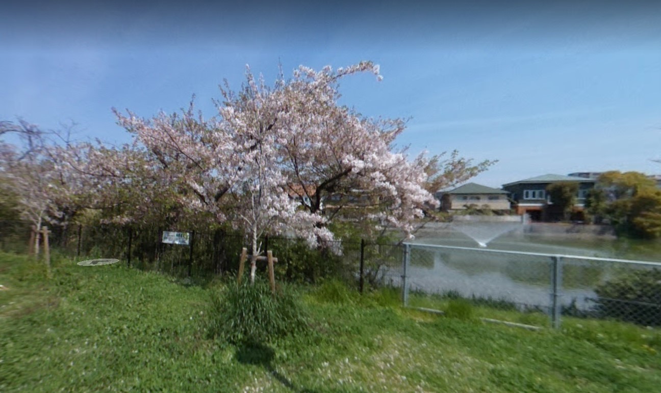 公園　桃ケ池公園（公園）まで341m