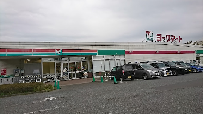 スーパー　ヨークフーズ 西大竹店（スーパー）まで825m