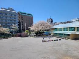 小学校　中野区立中野本郷小学校（小学校）まで487m