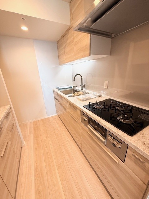 キッチン　ディスポーザー、食器洗浄機