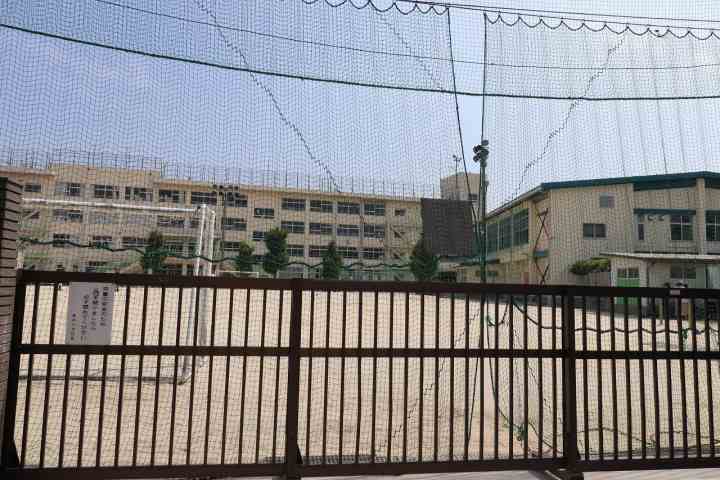 小学校　新井小学校（小学校）まで261m