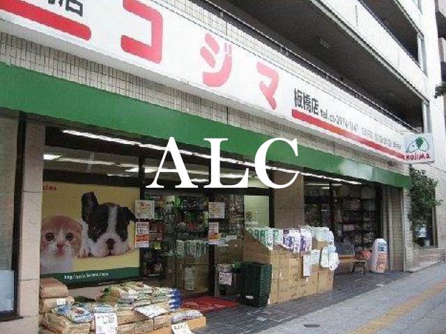 その他　ペットショップのコジマ板橋店（その他）まで813m