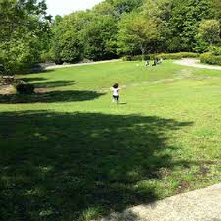 公園　茅ケ崎公園（公園）まで564m