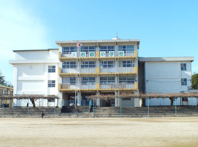 小学校　【北九州市立若園小学校】（小学校）まで479m
