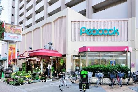 ホームセンター　ザ・ダイソーピーコックストア高輪魚籃坂店（ホームセンター）まで425m