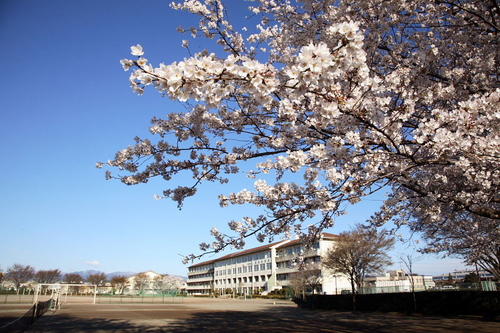 中学校　入間市立野田中学校（中学校）まで1098m