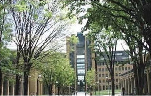 大学・短大　青山学院大学（大学・短大）まで300m