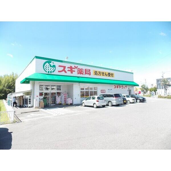その他　【ドラッグストア】スギ薬局元宮店まで1395m