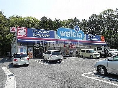 ドラックストア　ウエルシア柏名戸ヶ谷店（ドラッグストア）まで758m