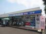 コンビニ　ローソン（コンビニ）まで250m