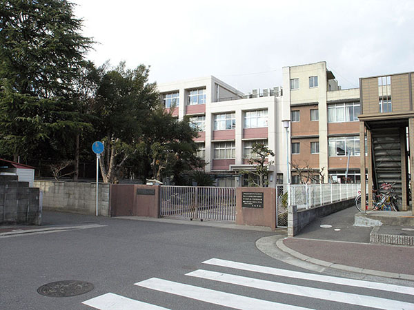 小学校　八尾市立志紀小学校（小学校）まで1077m
