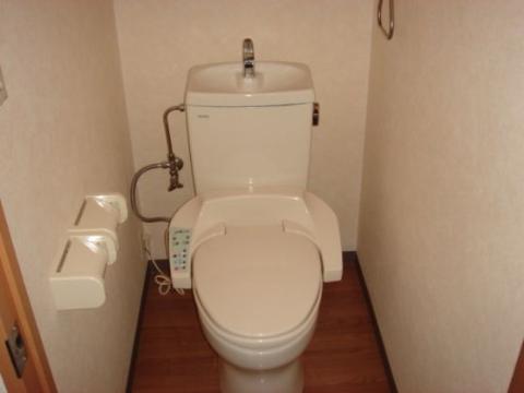 ＪＲ福塩線 万能倉駅 徒歩10分 2階建 築23年のトイレ写真