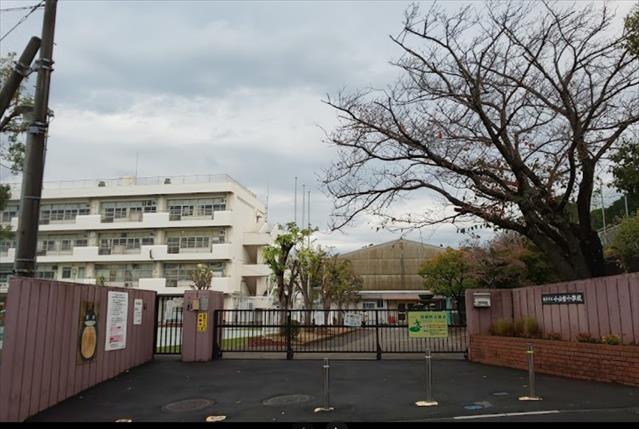 小学校　横浜市立小山台小学校（小学校）まで568m