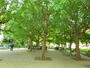 公園　戸山公園（公園）まで851m