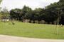 公園　おとめ山公園（公園）まで1176m