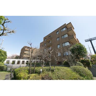 東急田園都市線 桜新町駅 徒歩17分 6階建 築38年のその他写真