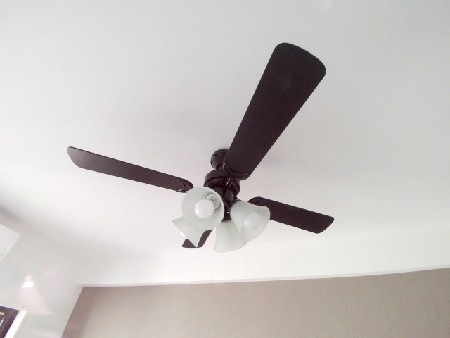その他　お部屋にはお洒落なシーリングファンも付いてます
