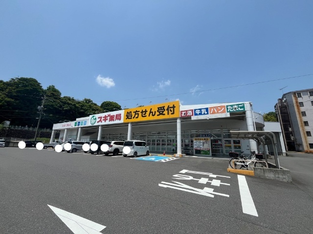 ドラックストア　スギ薬局東御幸店（ドラッグストア）まで954m
