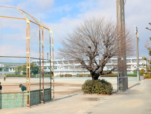 中学校　甚目寺中学校（学区はご確認ください）（中学校）まで1400m
