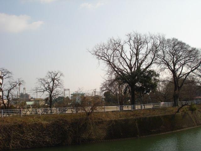 公園　中川公園（公園）まで300m