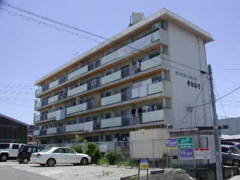 建物外観　アネックス楠50