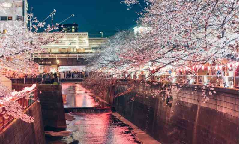 病院　西村内科循環器科クリニック（病院）まで260m