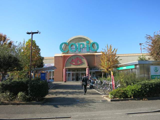 スーパー　（株）スーパーアルプス／城山店（スーパー）まで2284m