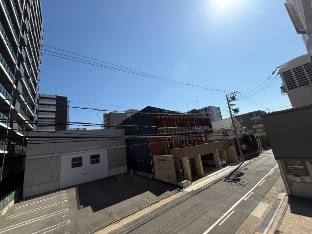 眺望　TINY GROVE