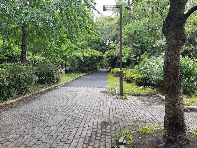 その他　花博記念公園鶴見緑地（その他）まで800m