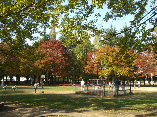 公園　横枕西公園（公園）まで600m