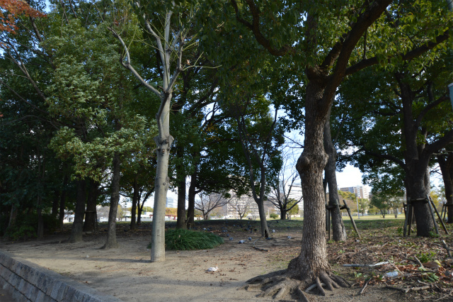 公園　中大江公園（公園）まで300m
