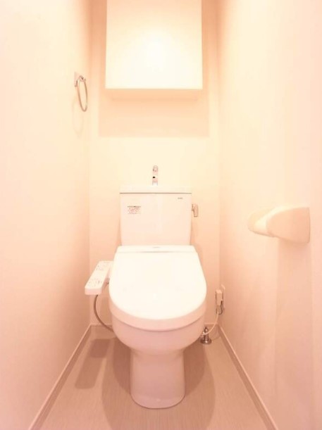 ＪＲ中央線 八王子駅 徒歩17分 2階建 築11年のトイレ写真