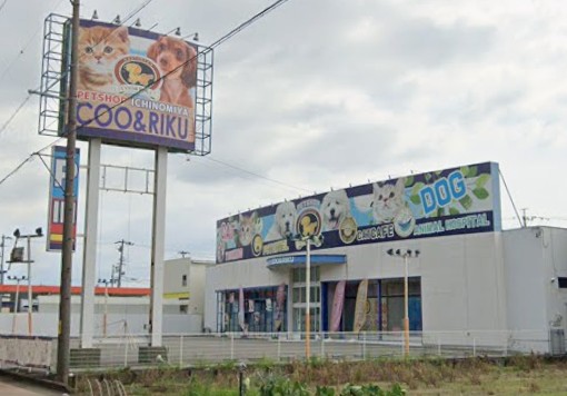 その他　ペットショップCoo&RIKU 東海一宮店（その他）まで421m