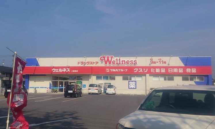 ドラックストア　ウェルネス上福原店（ドラッグストア）まで672m