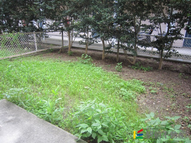 眺望　目隠しの植木