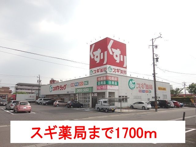 ドラックストア　スギ薬局　穂積店（ドラッグストア）まで1700m