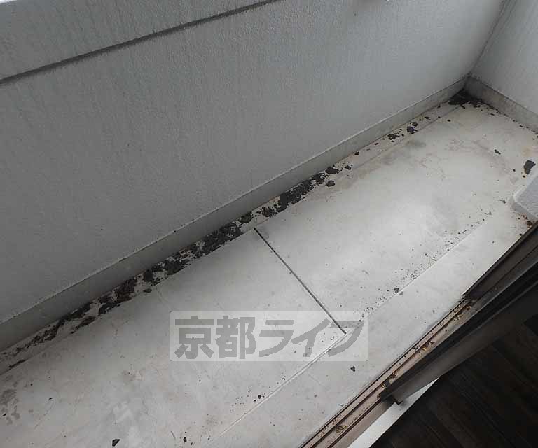 バルコニー　洗濯物はこちら