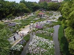 その他　城北公園通（その他）まで323m