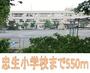 小学校　町田市立忠生小学校（小学校）まで1541m